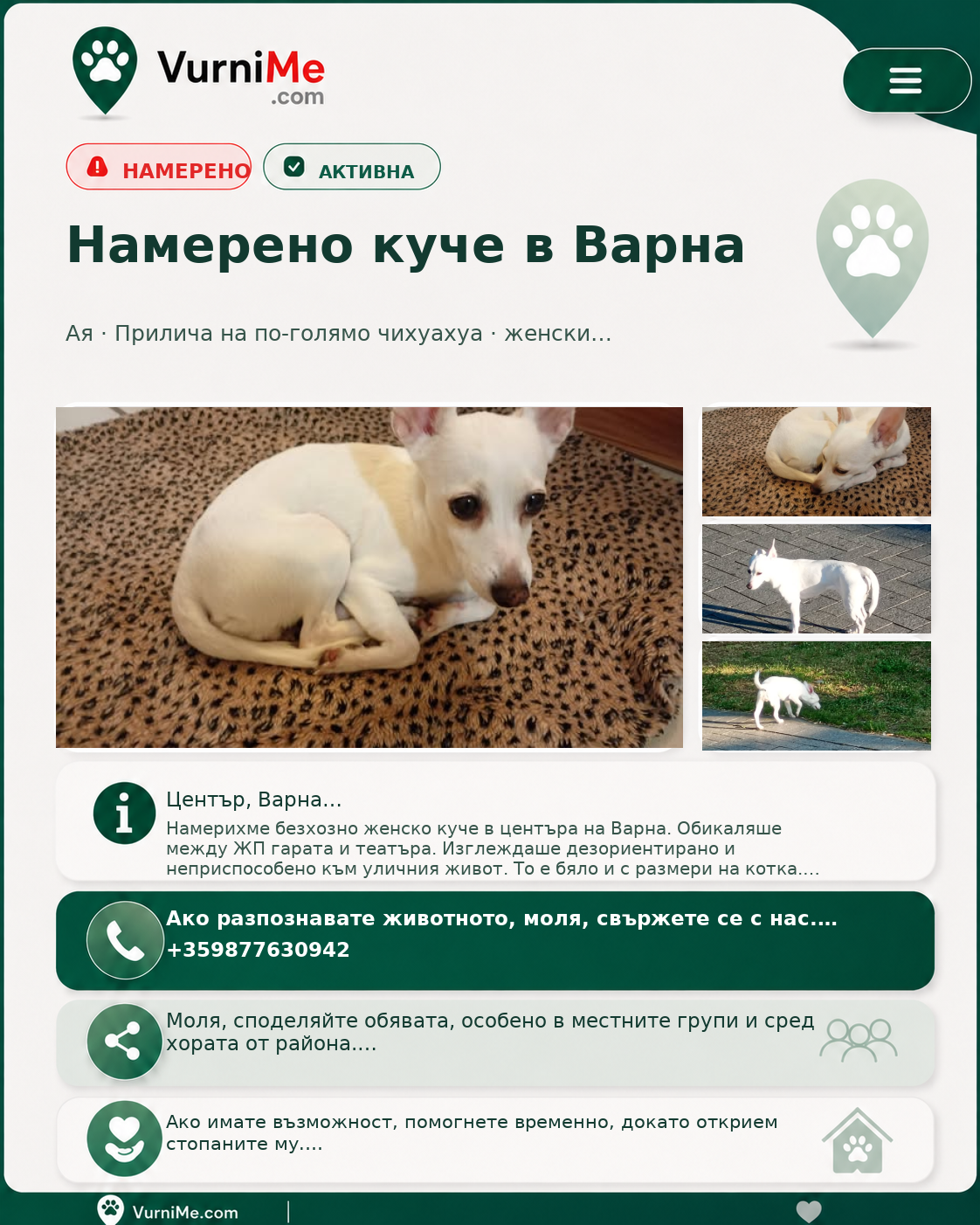 Генериран плакат за обявата